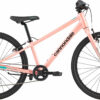 Cannondale Kids Quick 24 Sherpa 2022